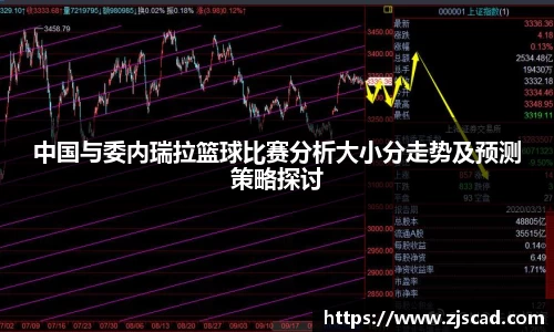 中国与委内瑞拉篮球比赛分析大小分走势及预测策略探讨