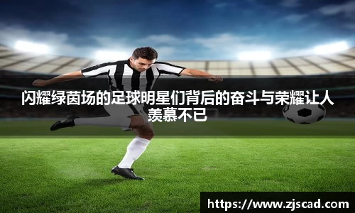 闪耀绿茵场的足球明星们背后的奋斗与荣耀让人羡慕不已